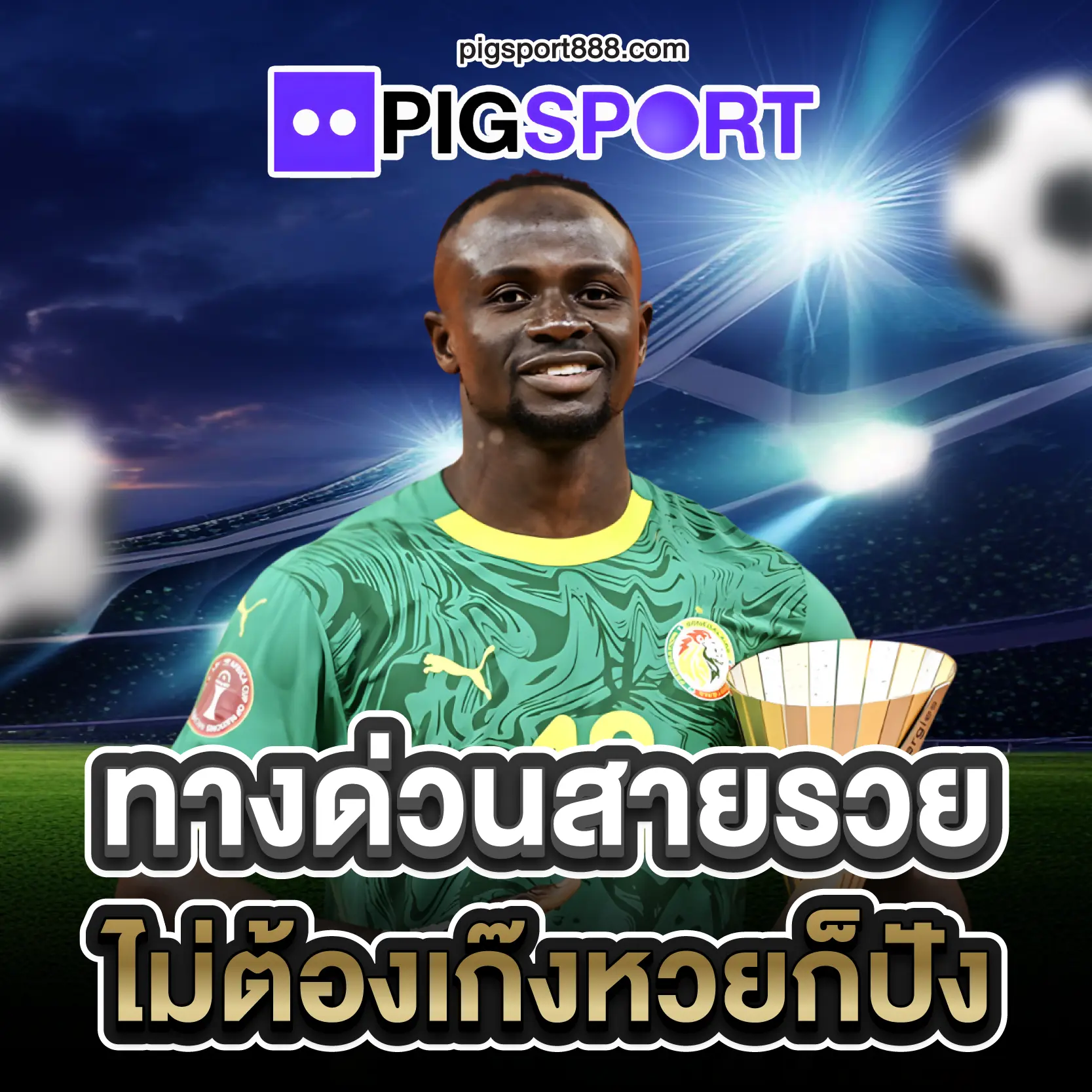 PIGSPORT ทางด่วนสายรวย ไม่ต้องเก๊งหวยก็ปัง